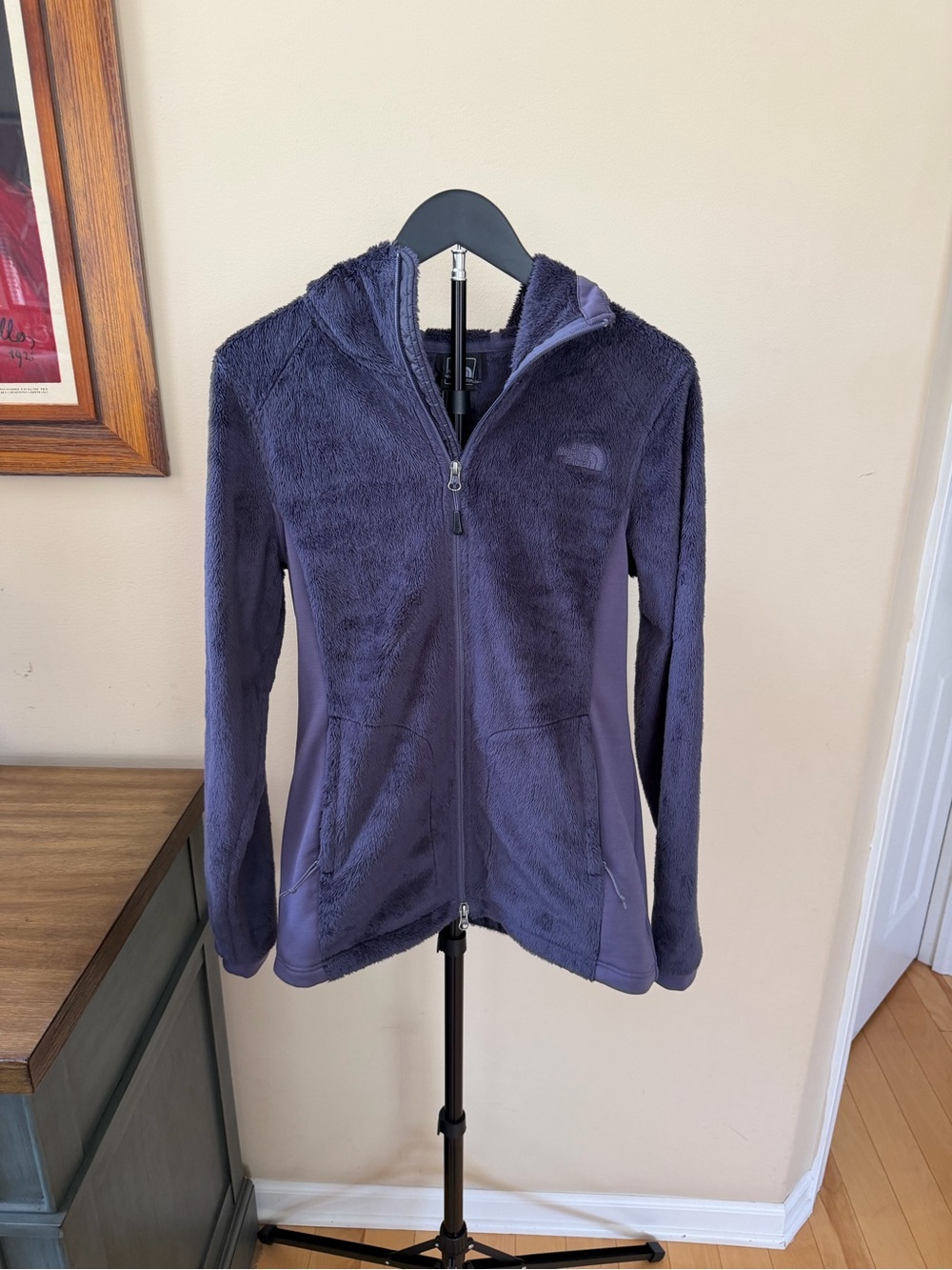 The North Face Womens Medium Hooded Full Zip Fleece Jacket Purple Soft